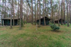 Urlaub im Bungalow mitten im Wald